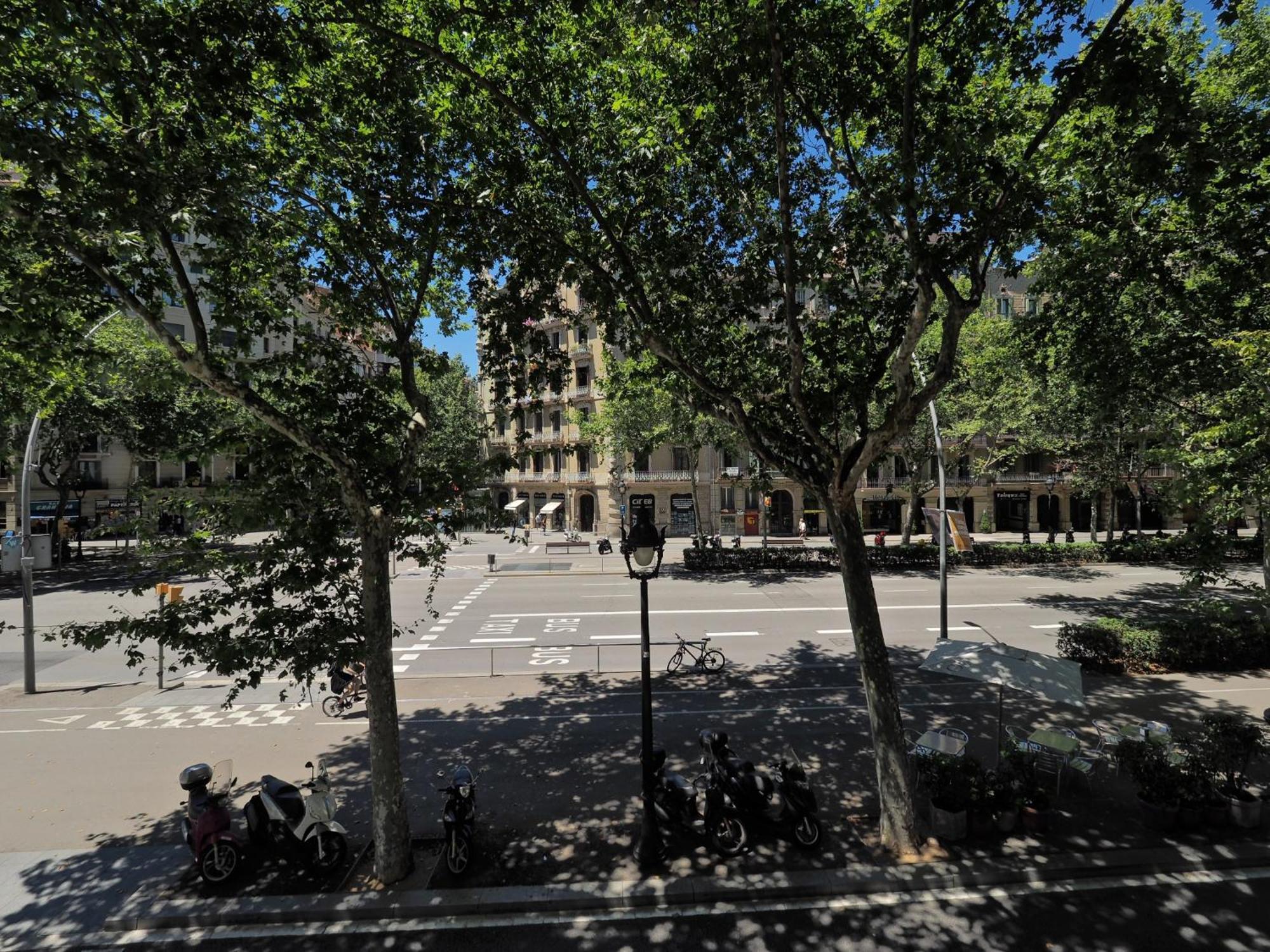 Barcelona Central Park II 외부 사진
